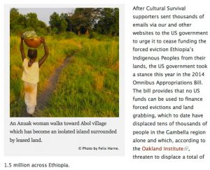 Cultural Survival
