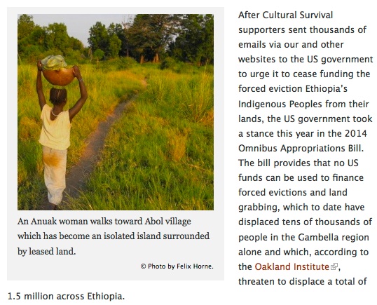 Cultural Survival in Ethiopia